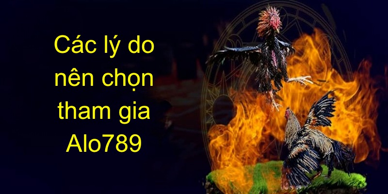 Giới thiệu alo789 với các lý do nên chọn đồng hành cùng thương hiệu